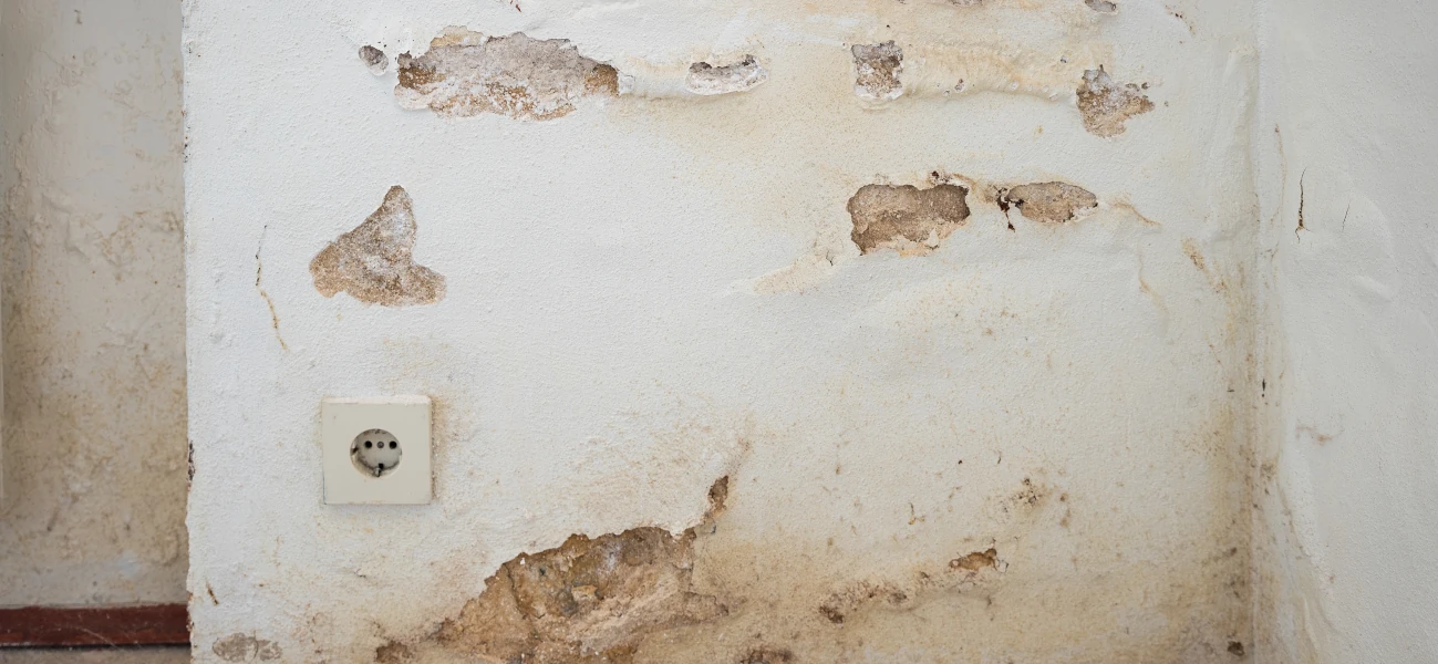 Old crumbling wall